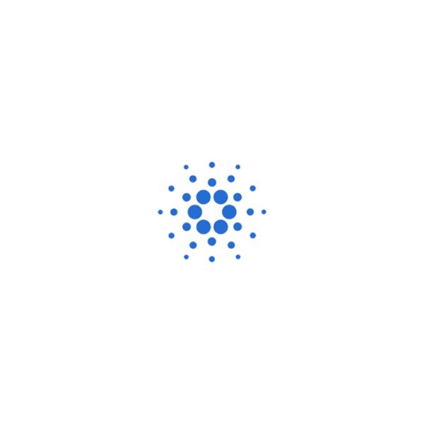 Cardano contact information.